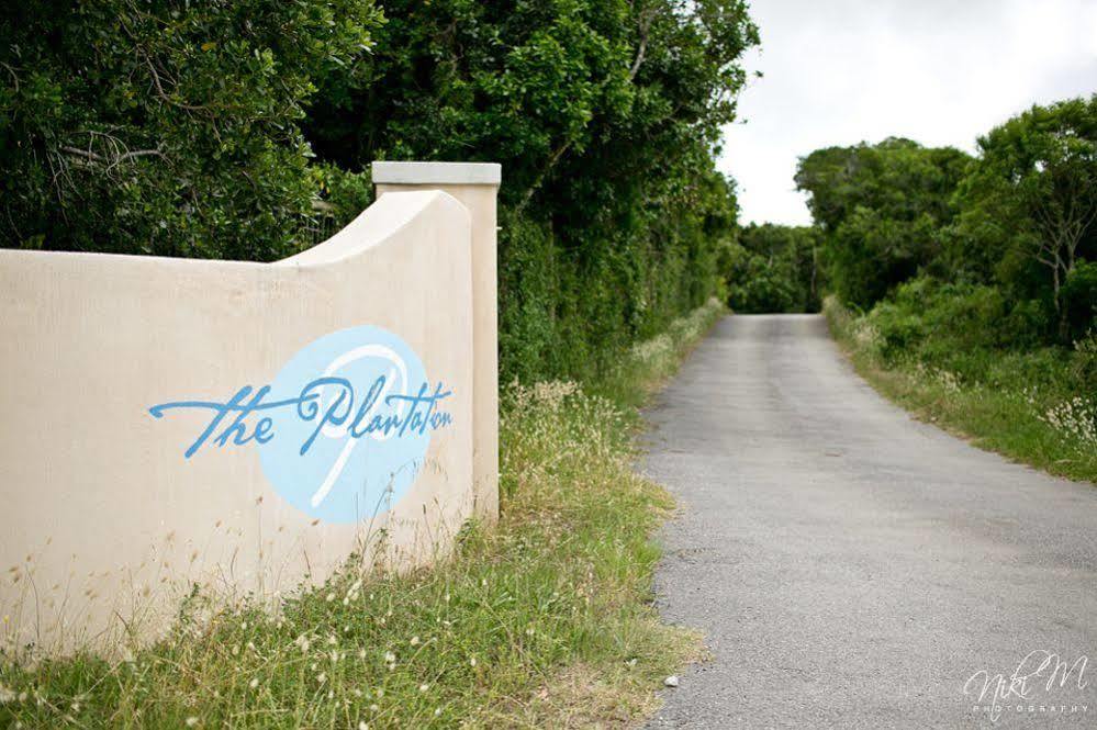 The Plantation Bed & Breakfast Port Elizabeth Bagian luar foto